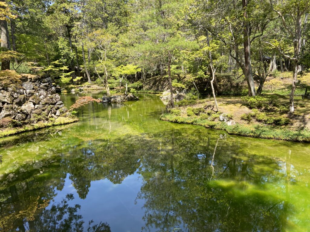 苔寺（西芳寺）庭園の池
