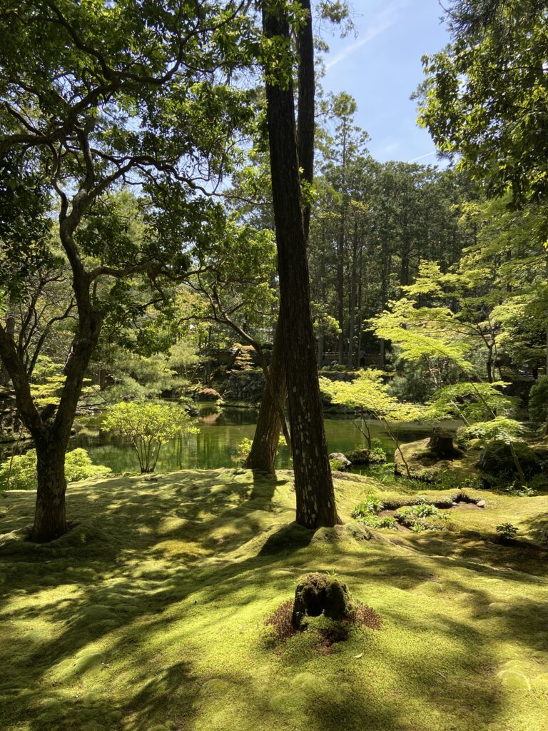 苔寺（西芳寺）庭園の苔と池