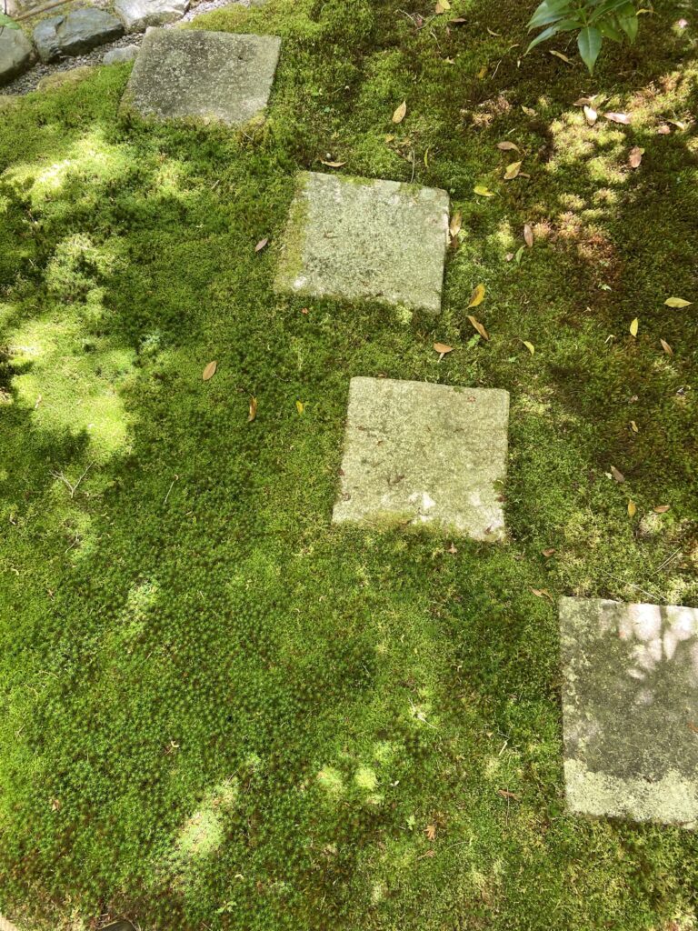 苔寺（西芳寺）の苔と石畳