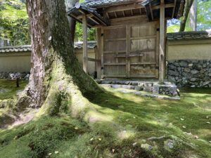苔寺（西芳寺）庭園の苔