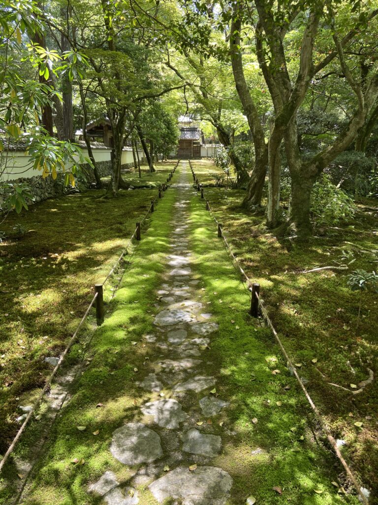 苔寺（西芳寺）庭園の苔と小道