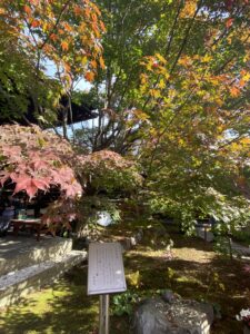 勝林寺